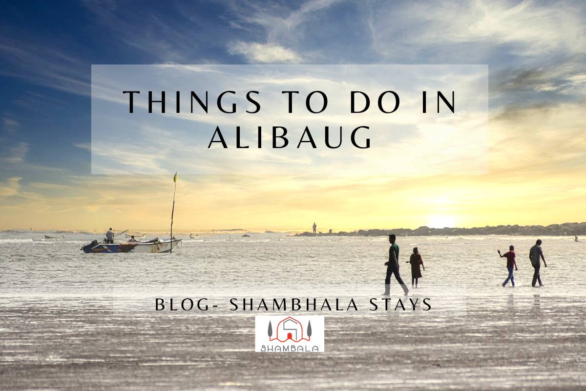 Things to do in Alibaug - Shambala Stays
