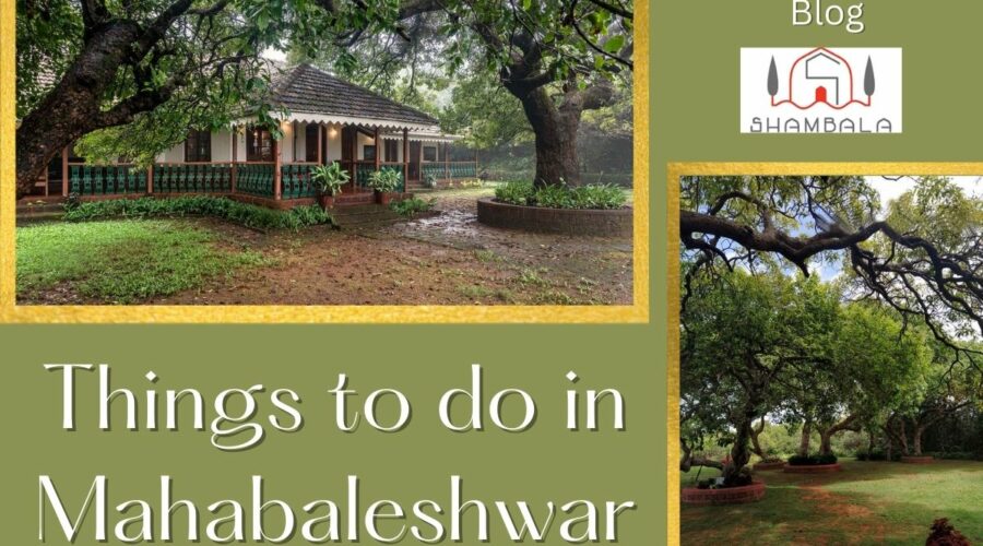 <strong>Things to Do in Mahabaleshwar</strong>