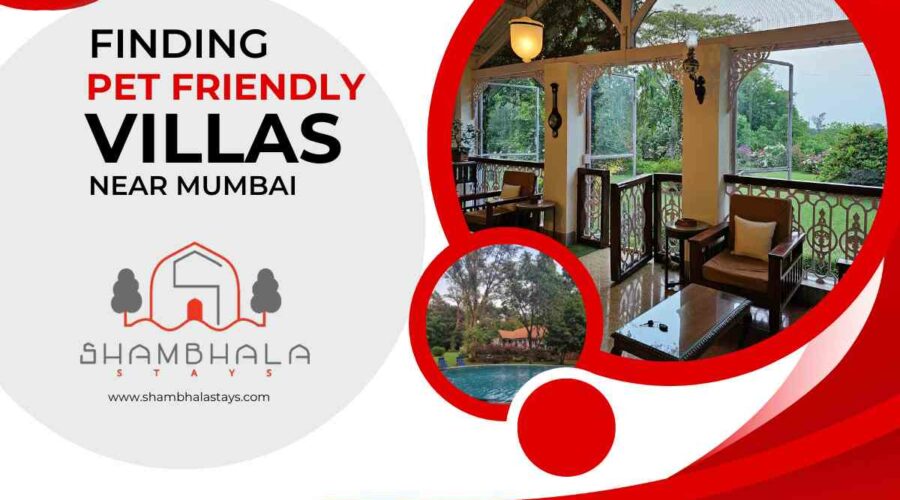 The Ultimate Guide to Pet Friendly Villas in Mumbai