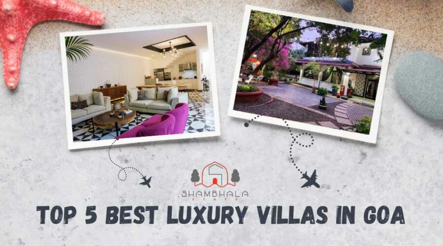 Top 5 Best Luxury Villas in Goa